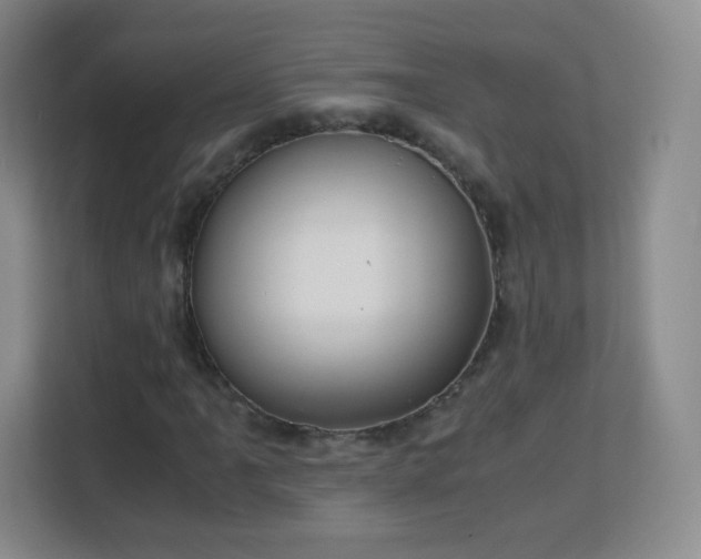 X0000113151061200909110949