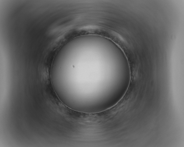 X0000113151062200909110949