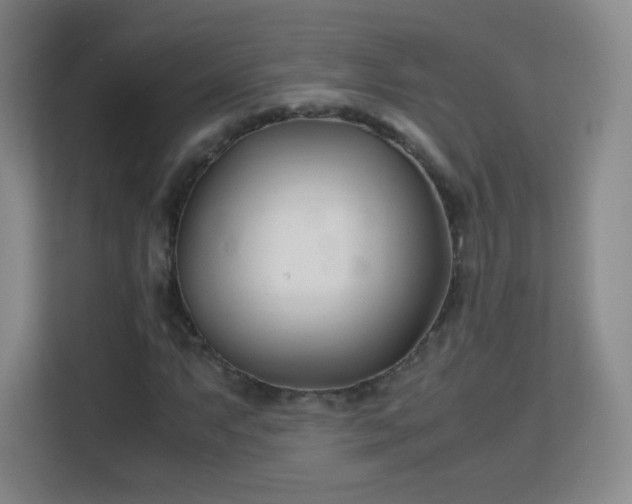 X0000113151063200909110949