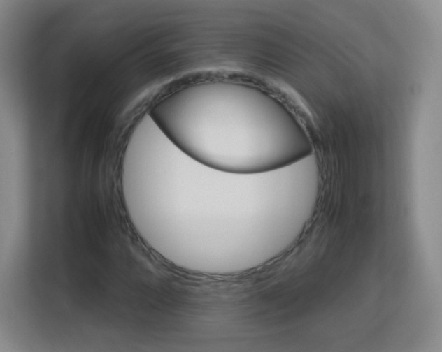 X0000113151064200909110949