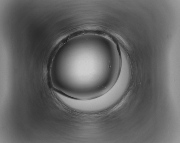 X0000113151065200909110949