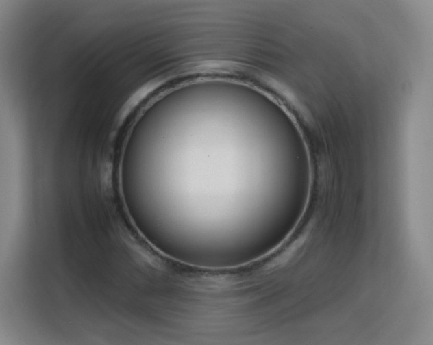 X0000113151066200909110949