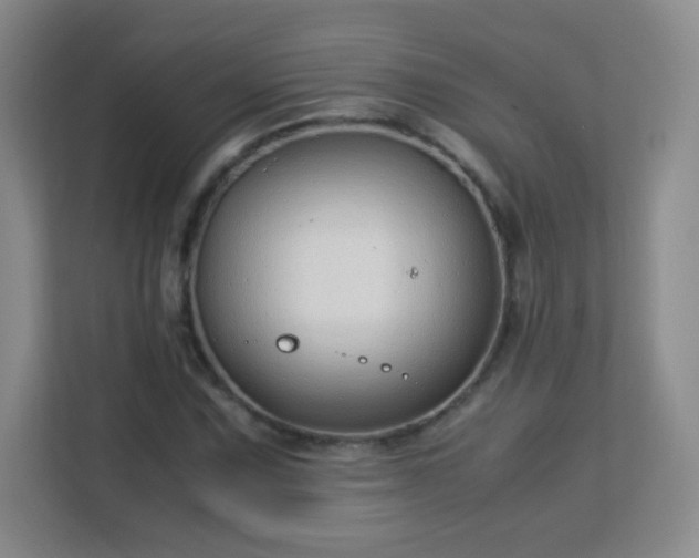 X0000113151067200909110949