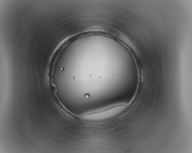 X0000113151068200909110949