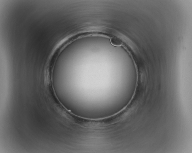 X0000113151069200909110949