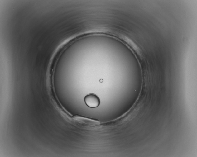 X0000113151072200909110949