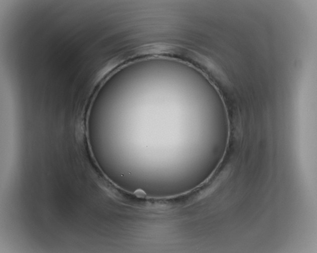 X0000113151073200909110949