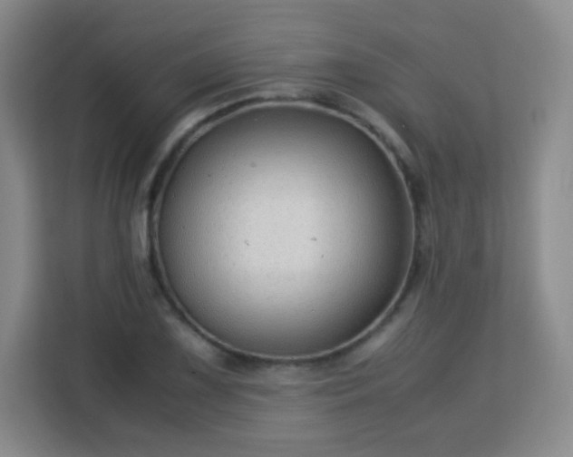 X0000113151075200909110949