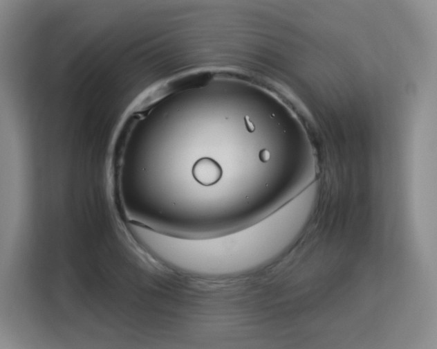 X0000113151076200909110949