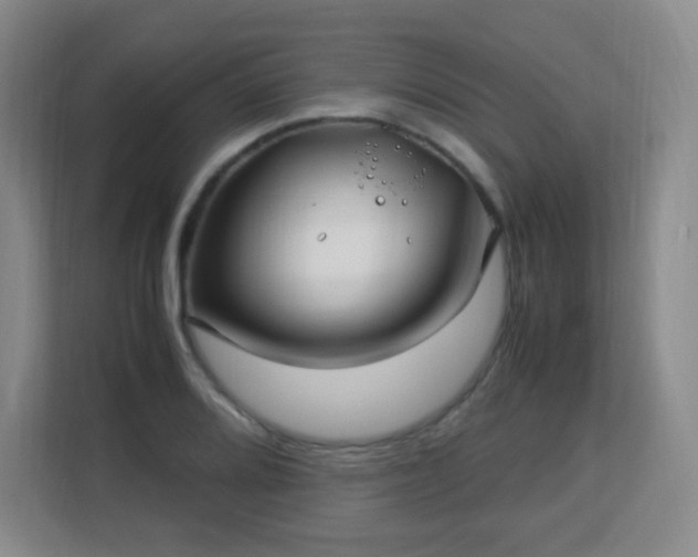 X0000113151080200909110949