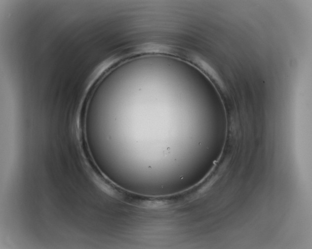 X0000113151082200909110949