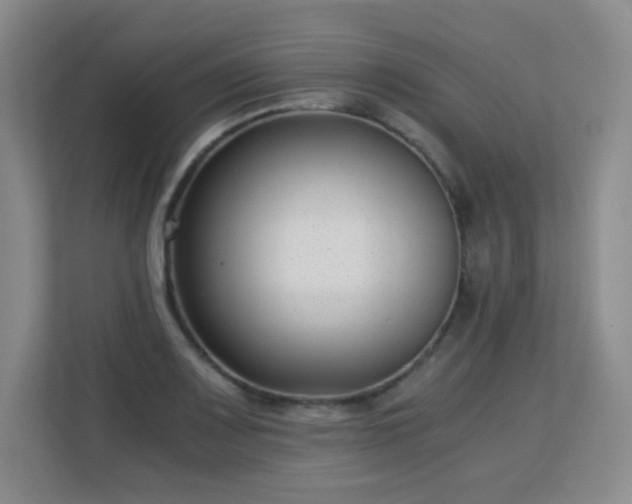 X0000113151083200909110949