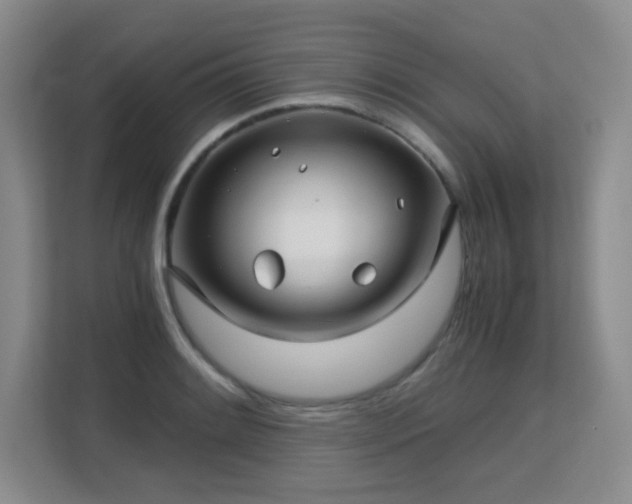 X0000113151084200909110949