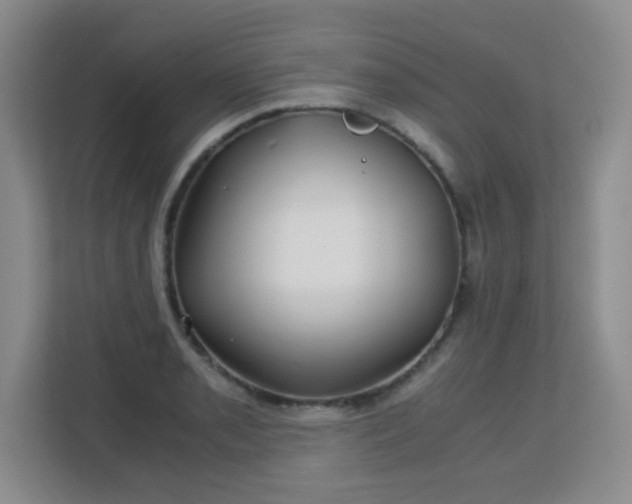 X0000113151085200909110949