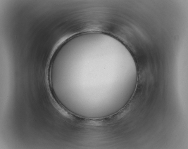 X0000113151086200909110949