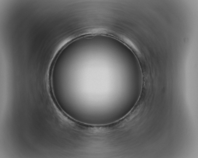 X0000113151087200909110949