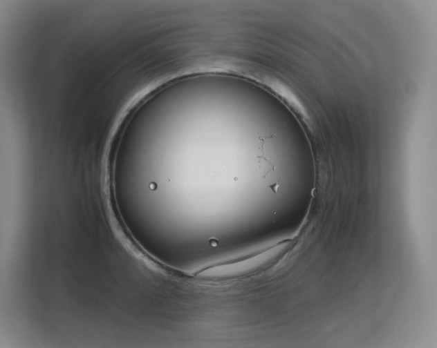 X0000113151088200909110949