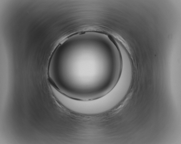 X0000113151089200909110949