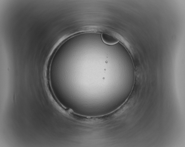 X0000113151091200909110949