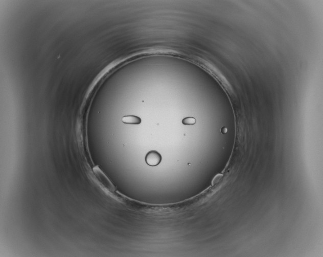 X0000113151092200909110949