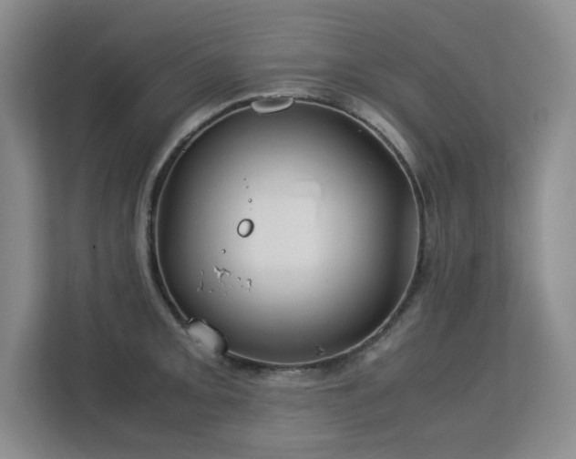 X0000113151093200909110949