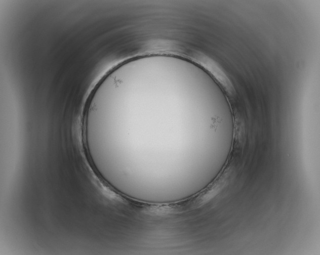 X0000113151094200909110949