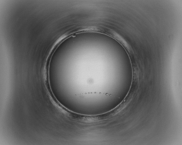 X0000113151095200909110949