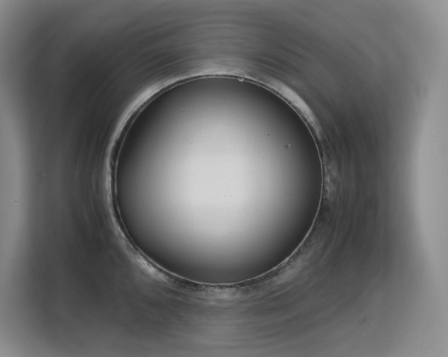 X0000113151096200909110949