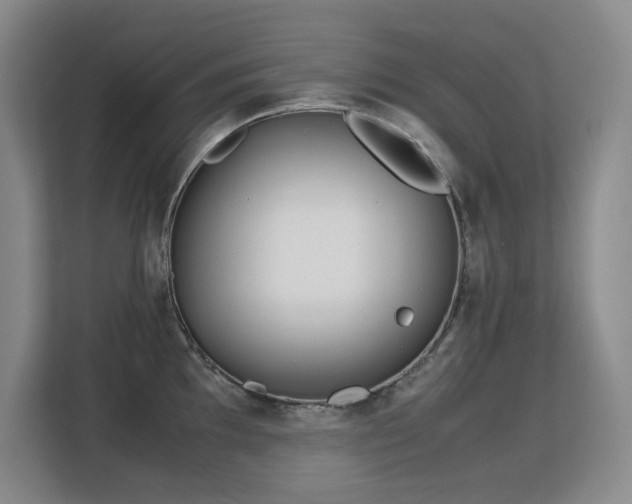 X0000113151097200909110949