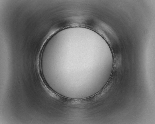 X0000113151098200909110949