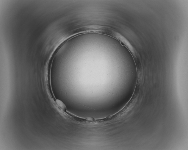 X0000113151099200909110949