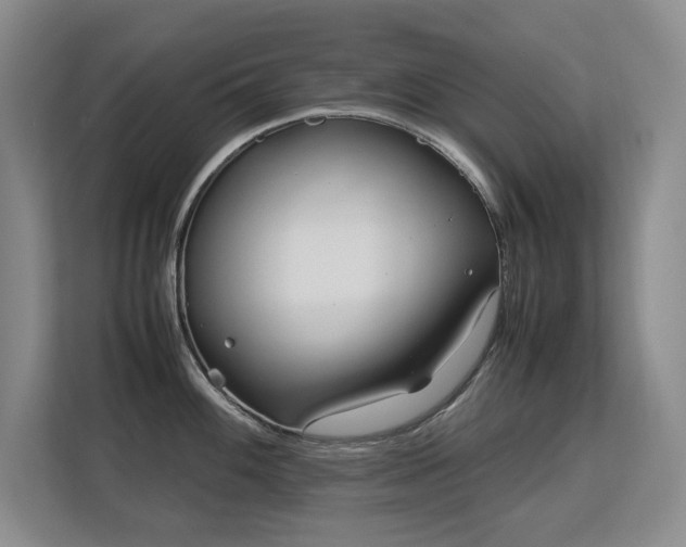 X0000113151100200909110949