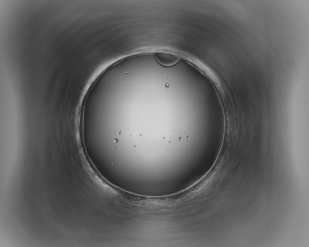 X0000113151102200909110949