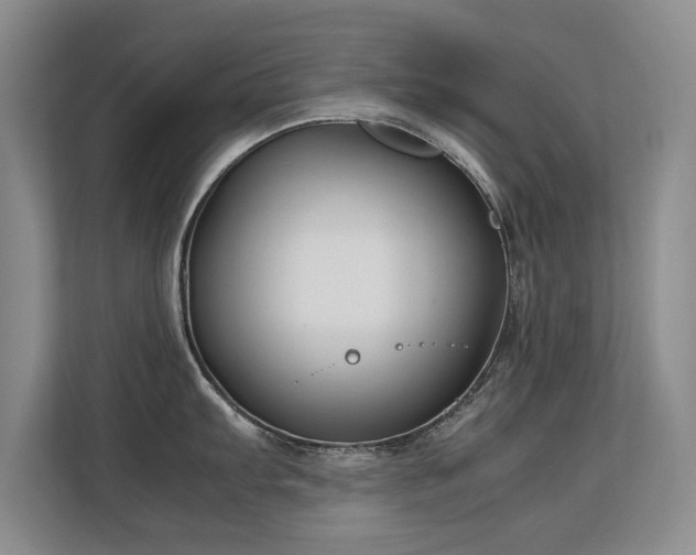 X0000113151103200909110949