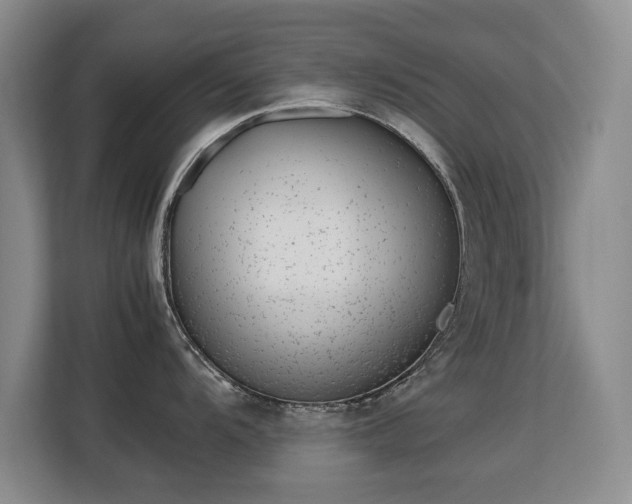 X0000113151104200909110949