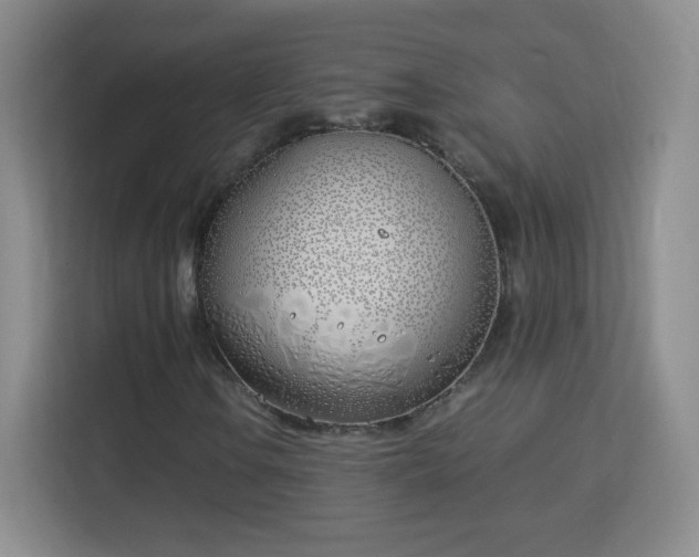 X0000113151106200909110948