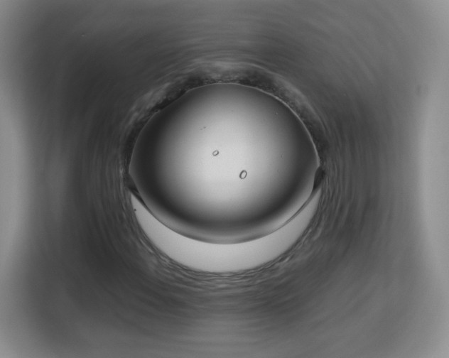 X0000113151108200909110948