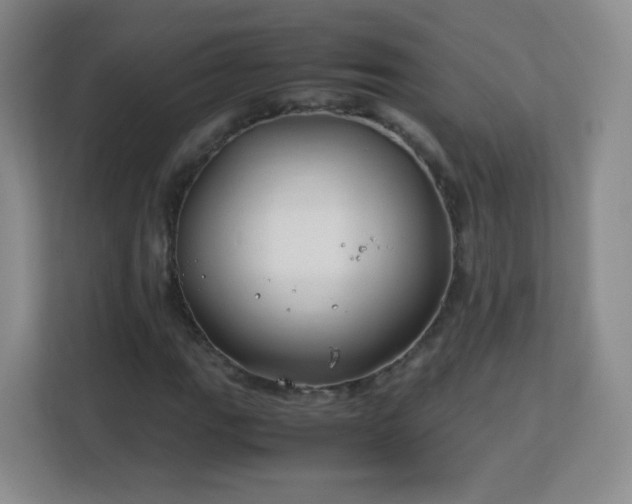 X0000113151111200909110948