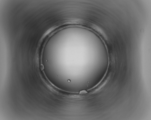 X0000113151114200909110948