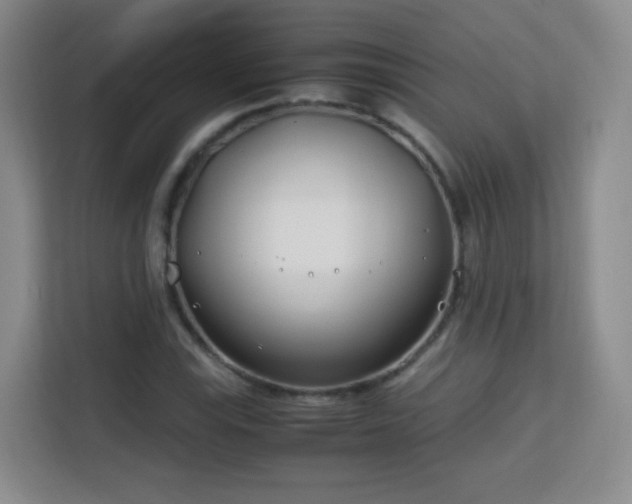 X0000113151115200909110948