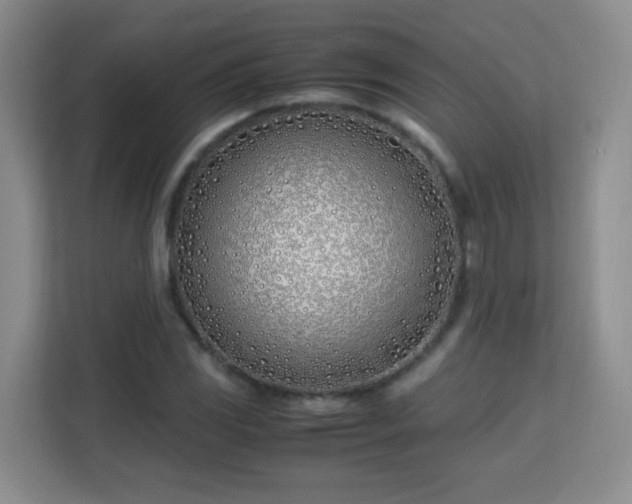 X0000113151117200909110948