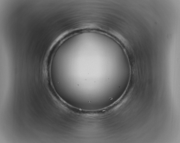 X0000113151118200909110948