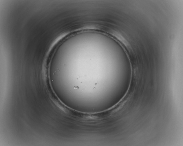 X0000113151119200909110948