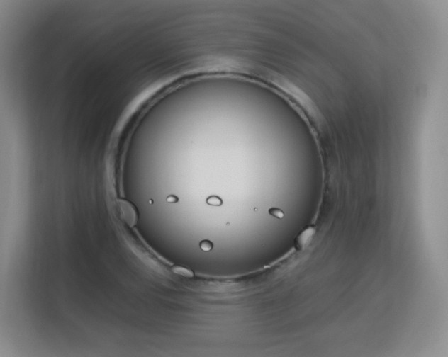 X0000113151120200909110948