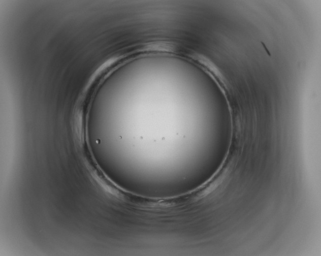 X0000113151123200909110948