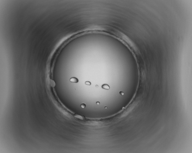 X0000113151124200909110949