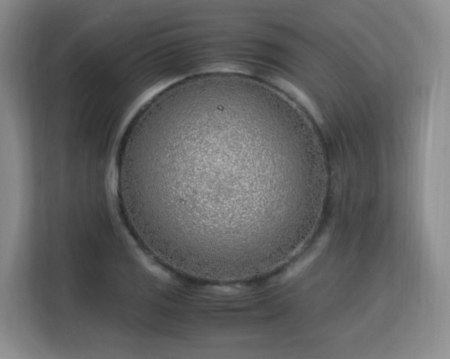 X0000113151125200909110949