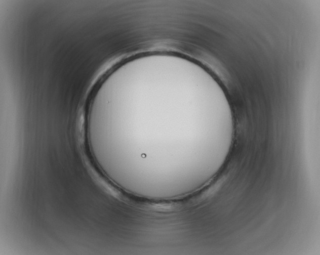 X0000113151126200909110949