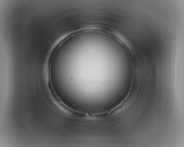 X0000113151127200909110949