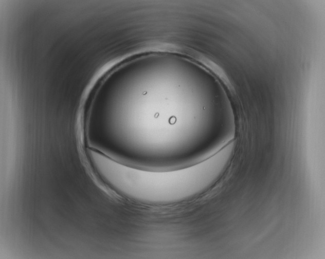 X0000113151128200909110949